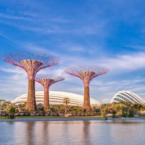 Gardens by the Bay: A Futuristic Botanical Extravaganza