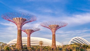 Gardens by the Bay: A Futuristic Botanical Extravaganza