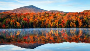 Using this fall foliage map, you can see exactly when the leaves will change color for all of your US travel possibilities
